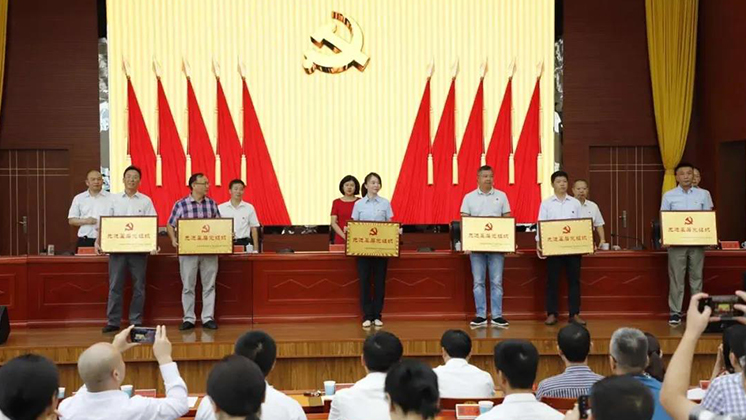 BG大游集团電子黨支部被評為2020年度先進基層黨組織