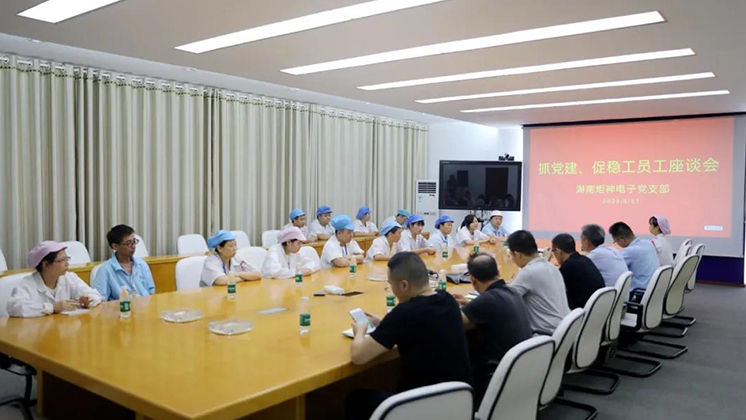 抓黨建、促穩工”——BG大游集团電子黨支部為企業穩工獻計獻策
