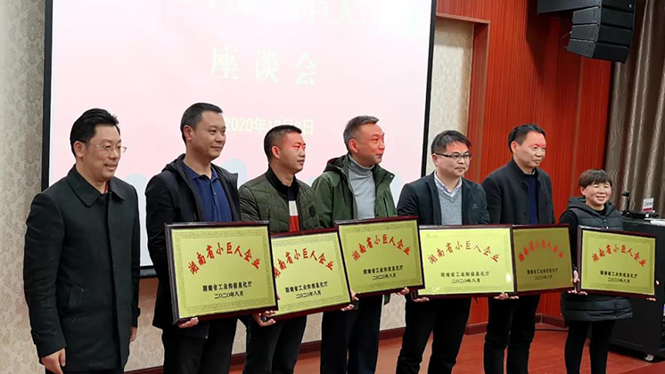 喜大普奔！BG大游集团電子被評為湖南省“小巨人”企業