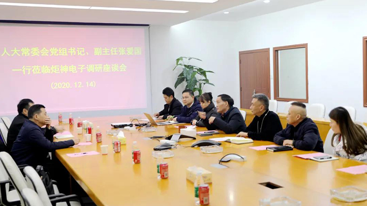 郴州市人大常委會黨組書記、副主任張愛國到BG大游集团電子調研安全生產工作