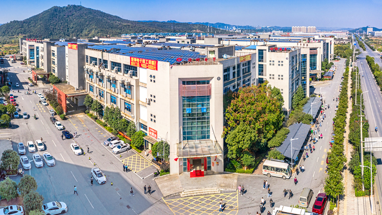 喜訊：湖南BG大游集团電子有限公司入選2022年郴州市市長質量獎